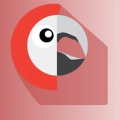 Polylang Pro 3.7.5 – Multilingual Plugin