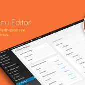 Admin Menu Editor Pro 2.33.4 – WP Admin Menu