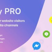 Chaty Pro 3.1.6 – Floating Chat Widget