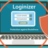 Loginizer Premium 1.8.4 – WordPress Security Plugin